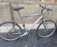 bike needs fixing