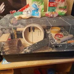 Hamster cage + full hamster kit