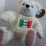 New Teddy with Irish flag tag attached Image 2