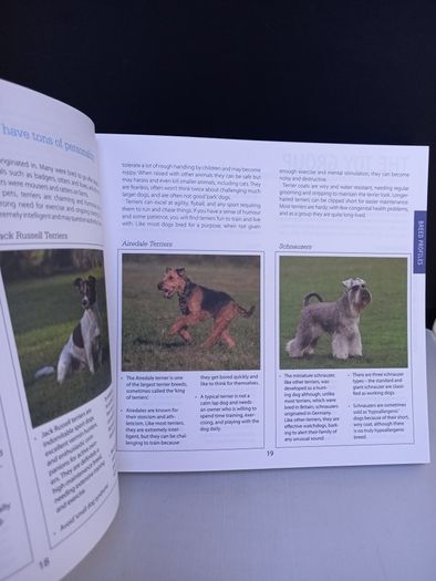 SALE! DOG CARE & TRAINING - A complete illustrated guide to adopting, house-training and raising a healthy dog