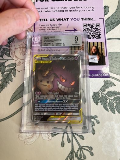 Gengar and Mimkyu Team Up 165