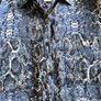 Ladies Navy Sheer Blouse by Saint Tropez Image 3