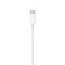 New USB-C Type C Male to Type C Male Charging Cable For Phones MacBook Air / Pro 1m - FHT16CAB Image 8