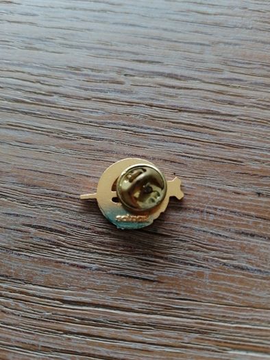 Tara brooch pin