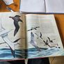 Birds Of The World. By Oliver L. Austin Jr. Illustrated By Arthur Singer. Forwarded By Sir Peter Scott. 1968 Large Volume Hardback With Dustjacket In Good Condition. Image 9