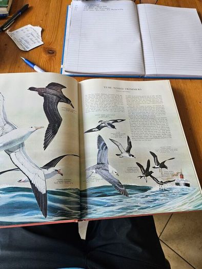 Birds Of The World. By Oliver L. Austin Jr. Illustrated By Arthur Singer. Forwarded By Sir Peter Scott. 1968 Large Volume Hardback With Dustjacket In Good Condition.
