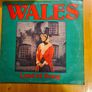 Welsh Related Choir Singing Songs. 17 x 12 inch vynal Plus 3 X Single Vynal, 2 X Cassette Tapes & 1 X Video Cassette. Image 10