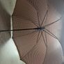 umbrella Image 3