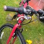 bike Image 6