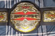 Wrestling TNA X belt