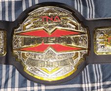 Wrestling TNA X belt
