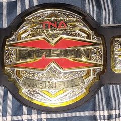 Wrestling TNA X belt