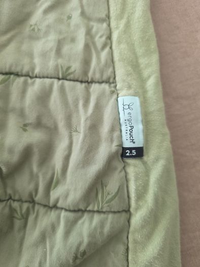 Ergopouch 2.5 Tog