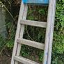Apex Wooden Ladder 6Ft Tall In Used Condition Image 2