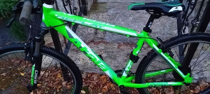 Mountain Bike Bargin