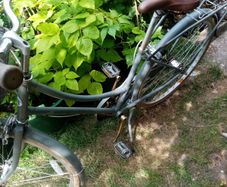 perfect 3 speed woman's bobbin birdie bike