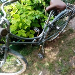 perfect 3 speed woman's bobbin birdie bike