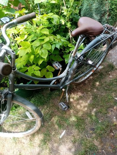 perfect 3 speed woman's bobbin birdie bike 26 "wheels