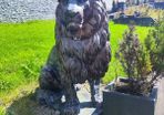 Large Stone Sitting Lions Pair