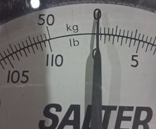 Salter Scales