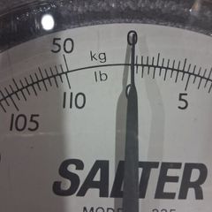 Salter Scales