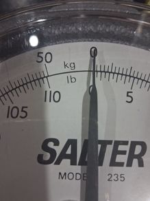 Fishing Scales