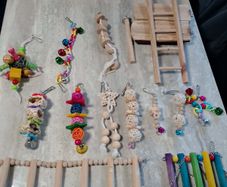 budgie toys