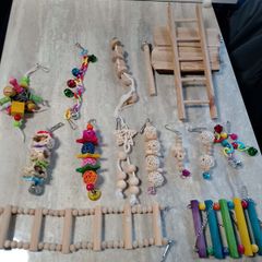 budgie toys