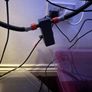 Aquarium/Fishtank Image 10