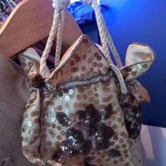 Exceptional Sequined Vintage Evening Bag