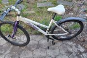 bike, teen or small adult, bicycle