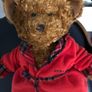 brown thomas teddy Image 3