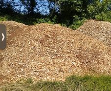 wood chip