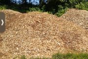 wood chip