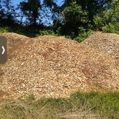 wood chip