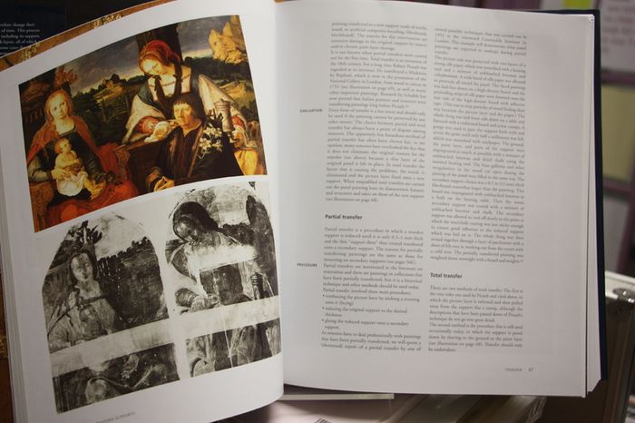The Restoration of Paintings