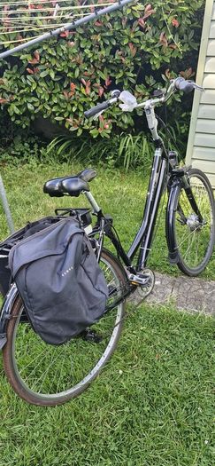 electric bike