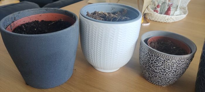 Vases
