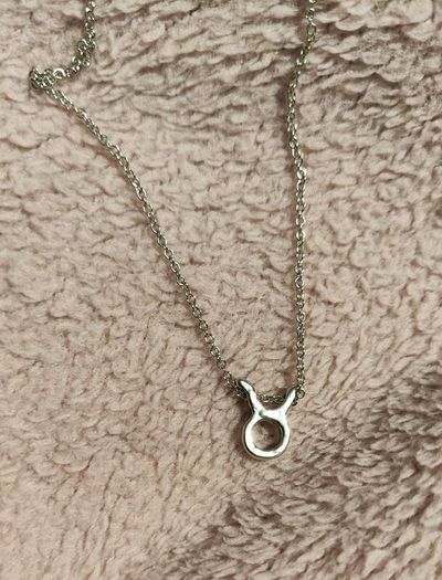 Taurus Zodiac Necklace Celestial & Personal Charm