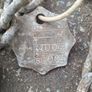 Lifting Chains Image 3