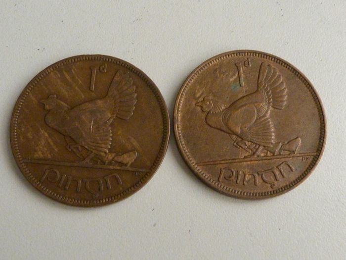 Irish pennies