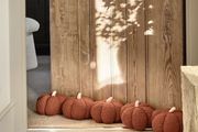Halloween Decorations