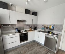 kitchen appliances: induction hob, incorporated oven, dishwasher and microwave