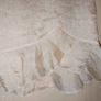 stunning ivory midi skirt from Libra. Image 6