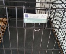 large dog crate