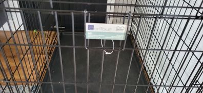 large dog crate