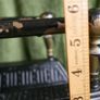 Antique Pair of Cast Iron and Brass Fire Dogs Image 9