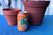 2 terracotta flower pots
