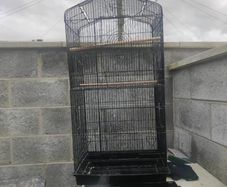 Bird cage