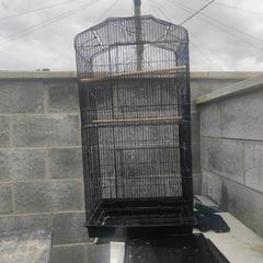 Bird cage